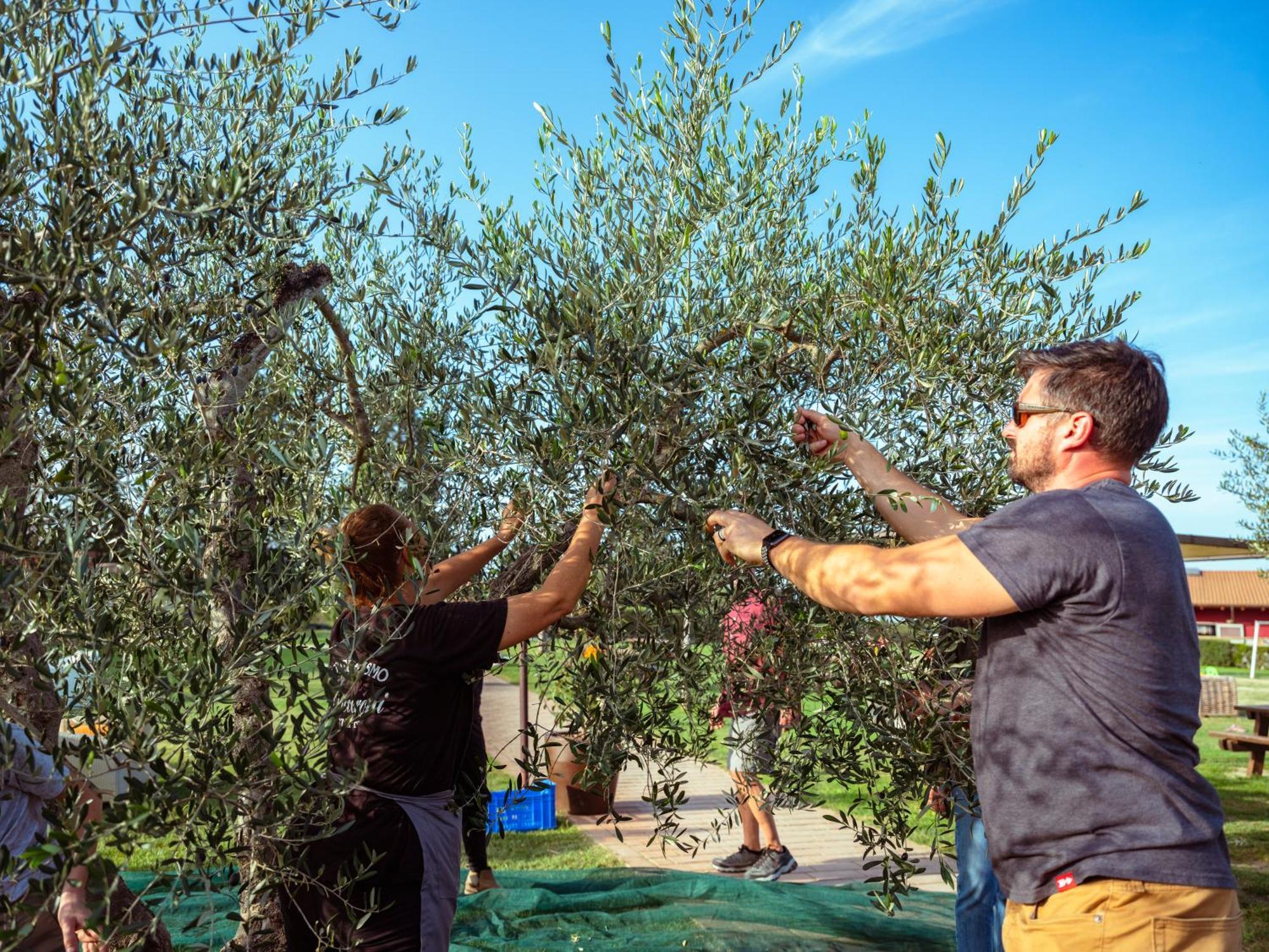 Agriturismo Biologico Diacceroni Villamagna  エクステリア 写真