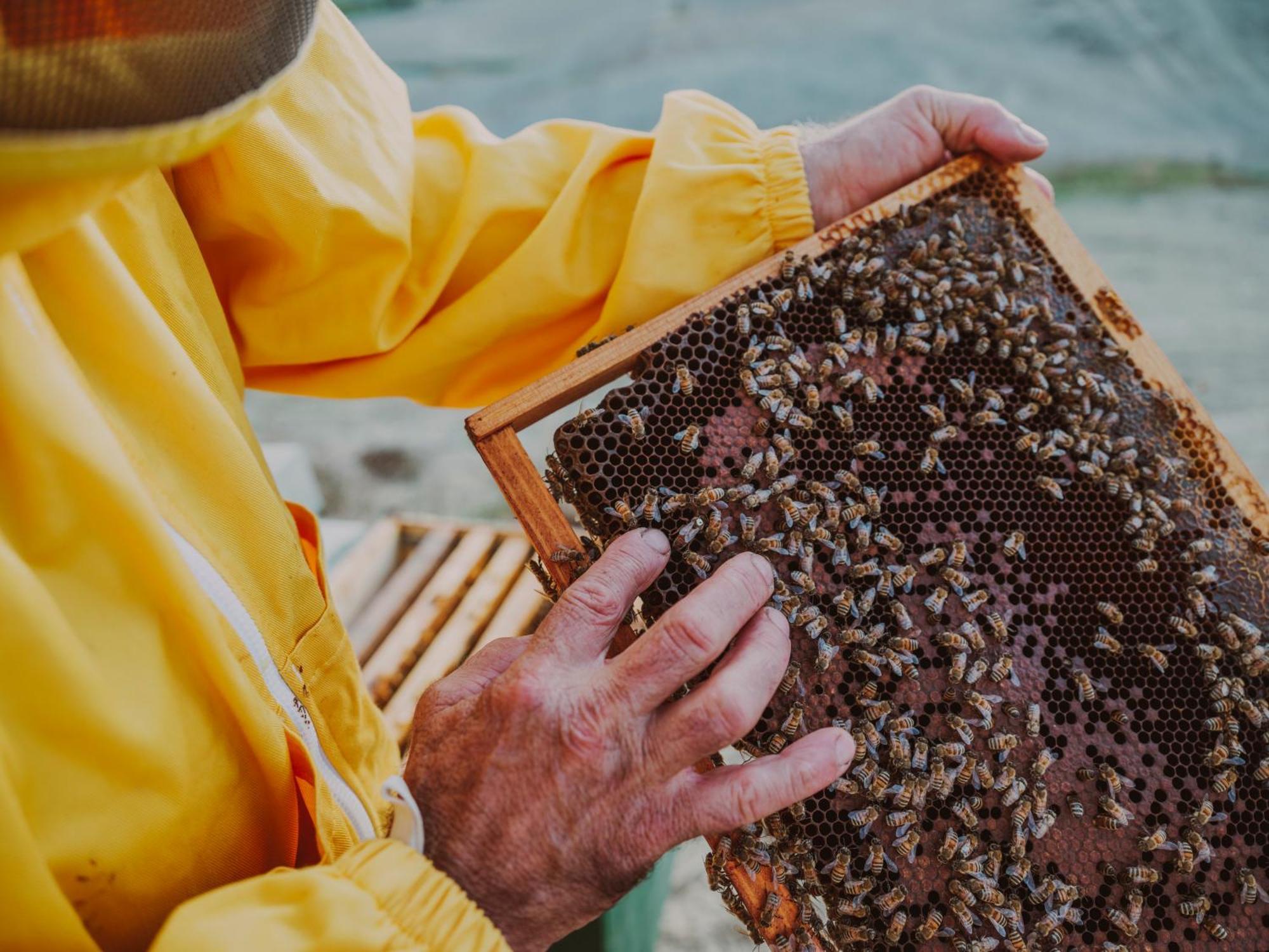 Agriturismo Biologico Diacceroni Villamagna  エクステリア 写真