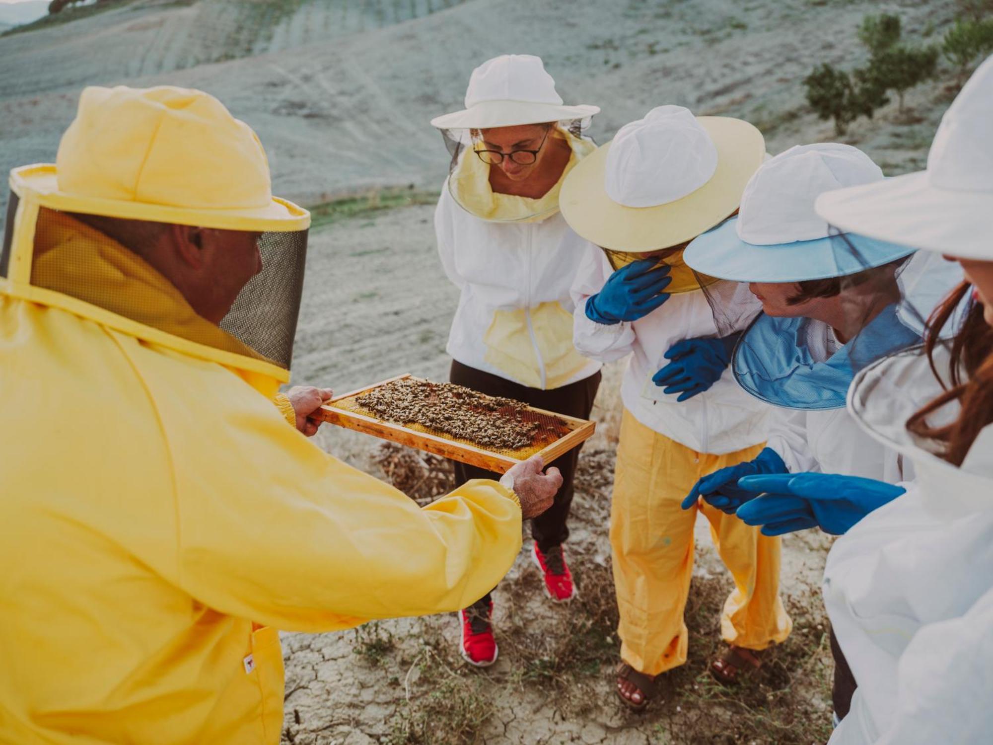 Agriturismo Biologico Diacceroni Villamagna  エクステリア 写真