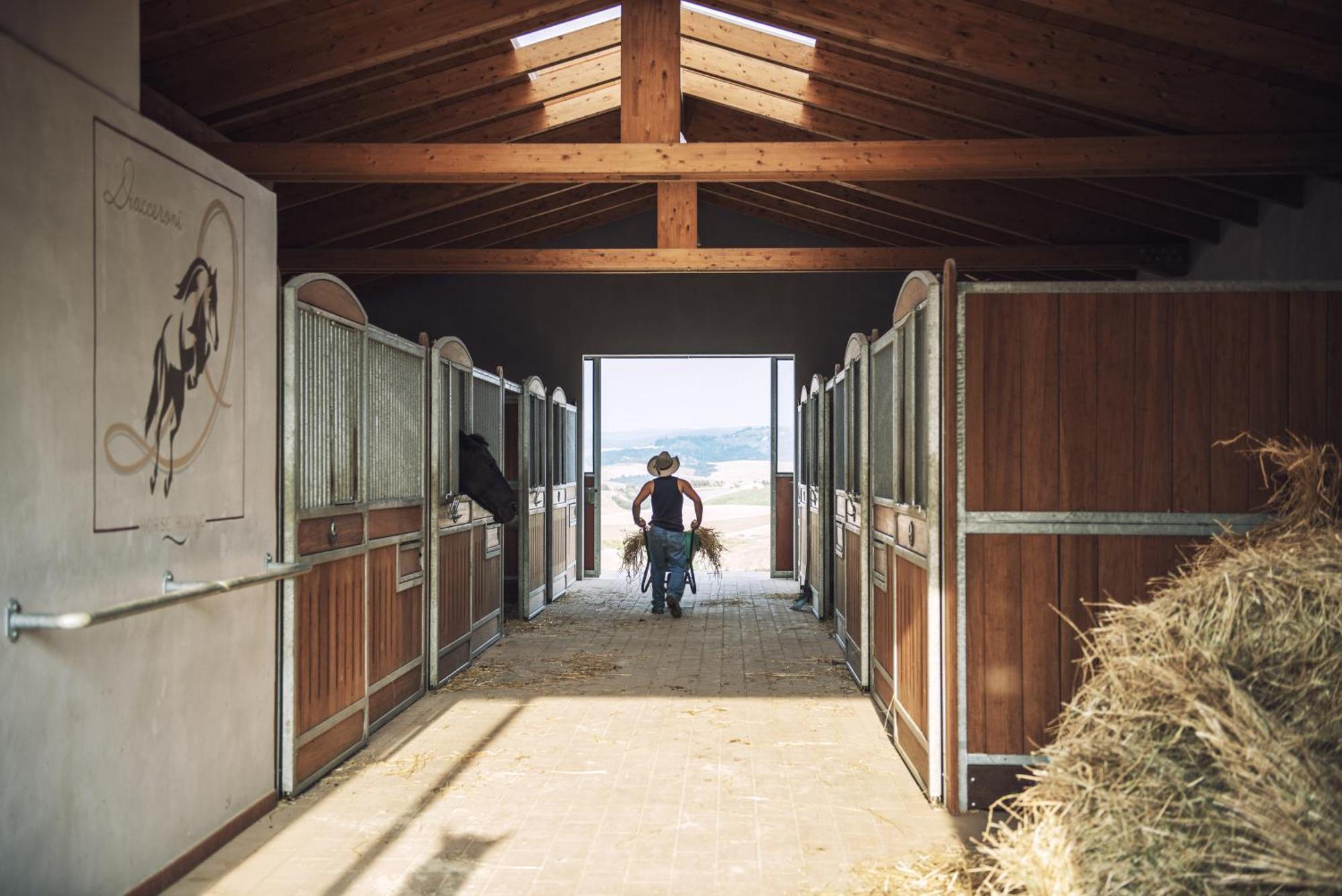 Agriturismo Biologico Diacceroni Villamagna  エクステリア 写真