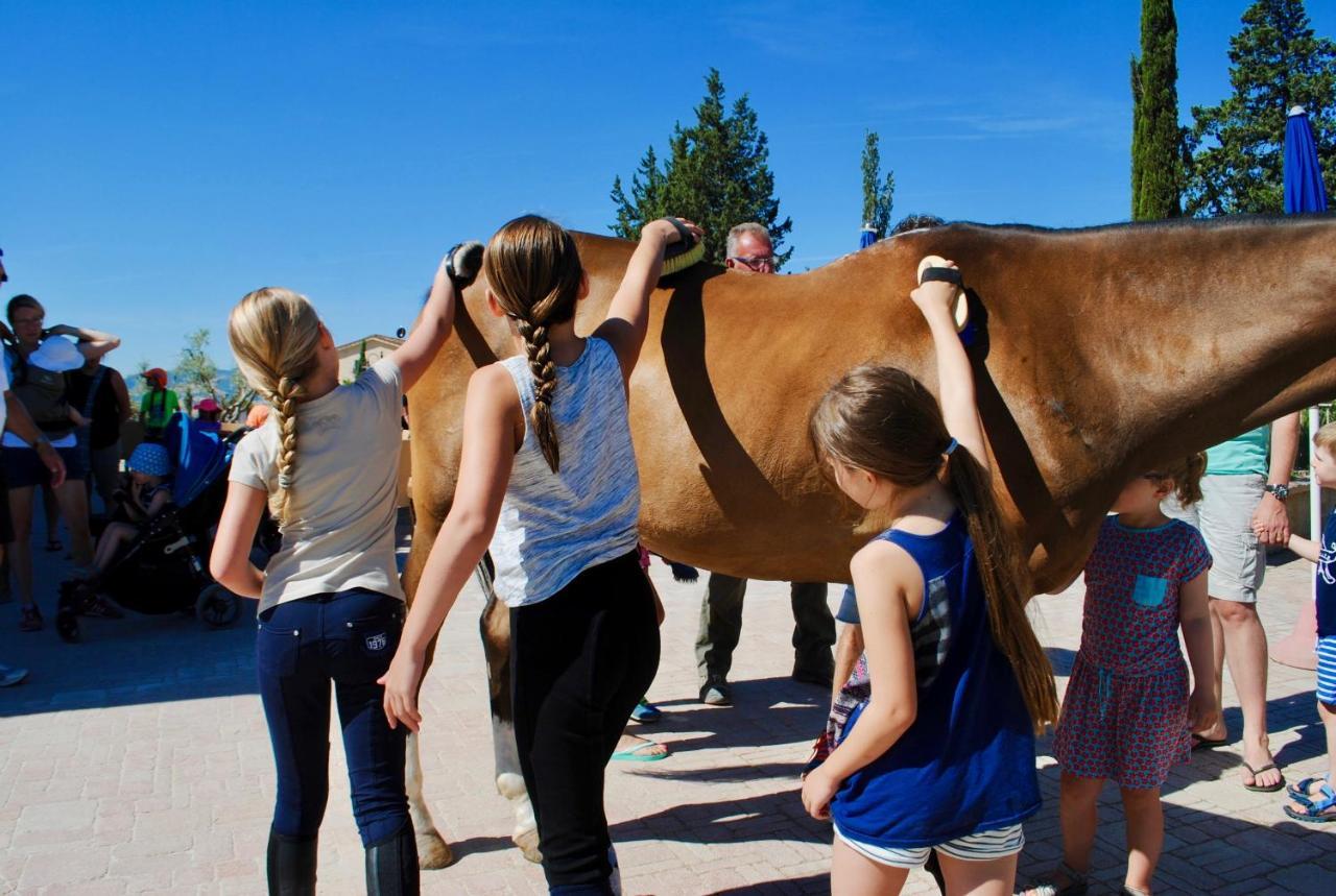 Agriturismo Biologico Diacceroni Villamagna  エクステリア 写真
